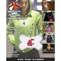 Personal Illumination Device